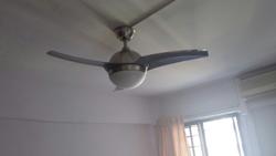 Blk 229 Serangoon Avenue 4 (Serangoon), HDB 4 Rooms #146813162